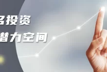 如何选择具有投资潜力的域名 - 未知岛